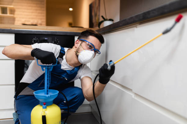 Best Best Pest Control Companies  in Lewisville, WA