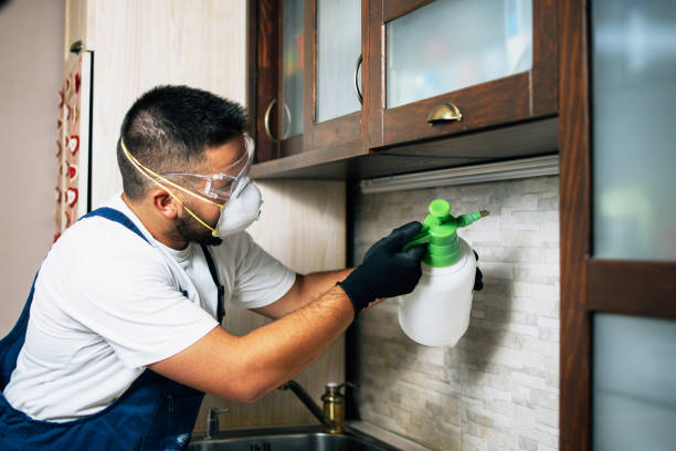 Pest Control Cost in Lewisville, WA