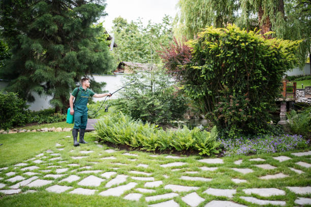 Best Bird Control  in Lewisville, WA