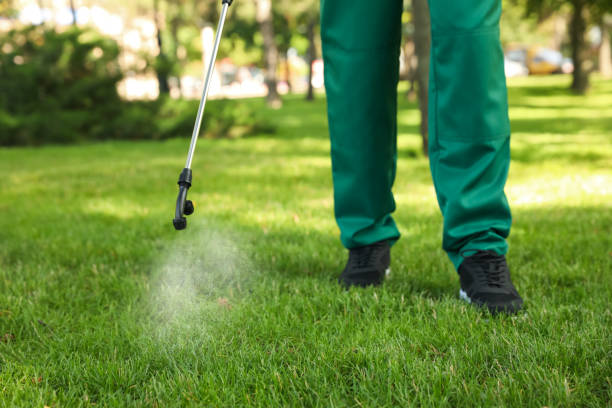 Best Pest Inspection Near Me  in Lewisville, WA