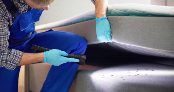 Best Cockroach Control Services  in Lewisville, WA