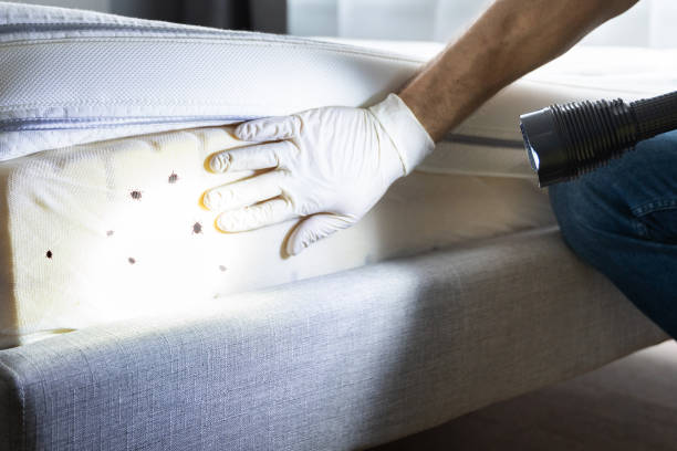 Best Affordable Pest Control Services  in Lewisville, WA