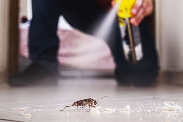 Best Pest Control for Businesses  in Lewisville, WA