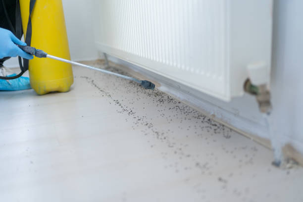 Best Local Pest Control Services  in Lewisville, WA